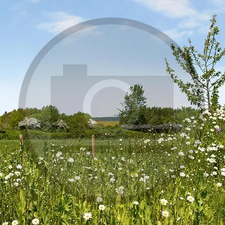 Nyaraló Gorgeous In With Sauna